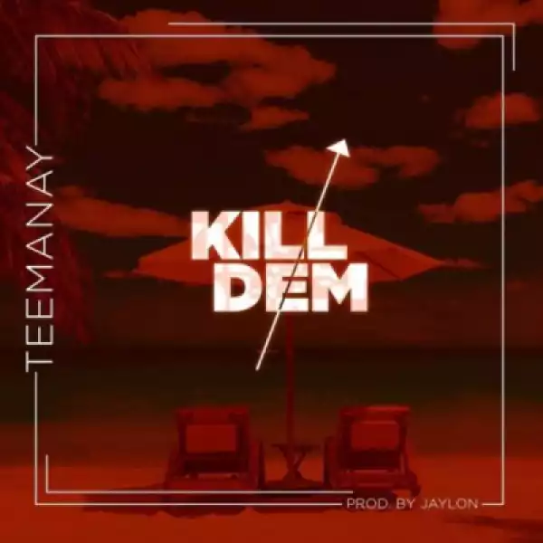 Teemanay - Kill Dem